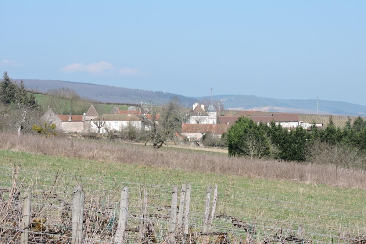 Gite Du Vigneron Chassey-le-Camp المظهر الخارجي الصورة